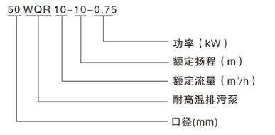 图片17